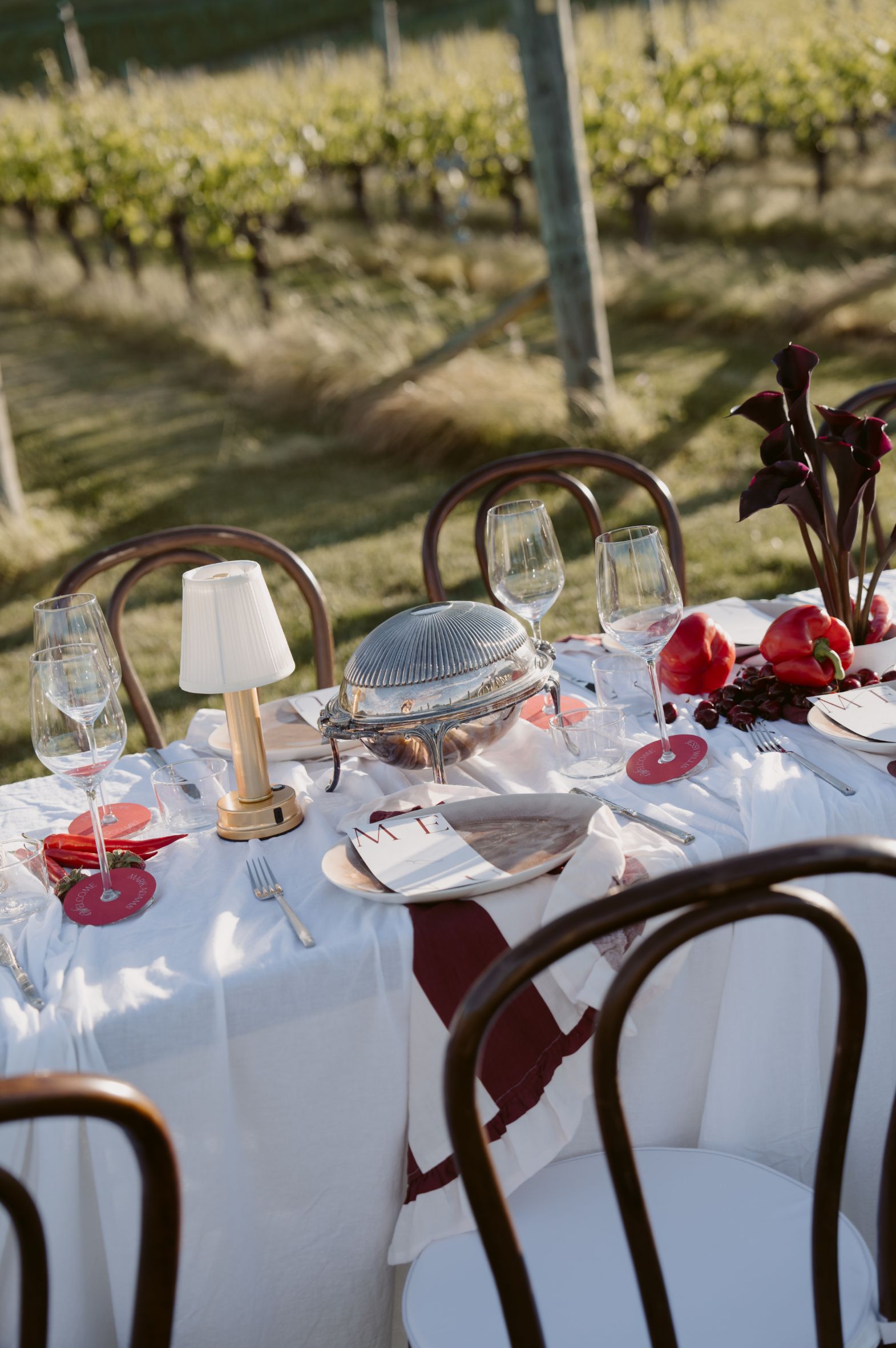 Akitu winery wedding - Styled shoot Alexandra Kate Creative