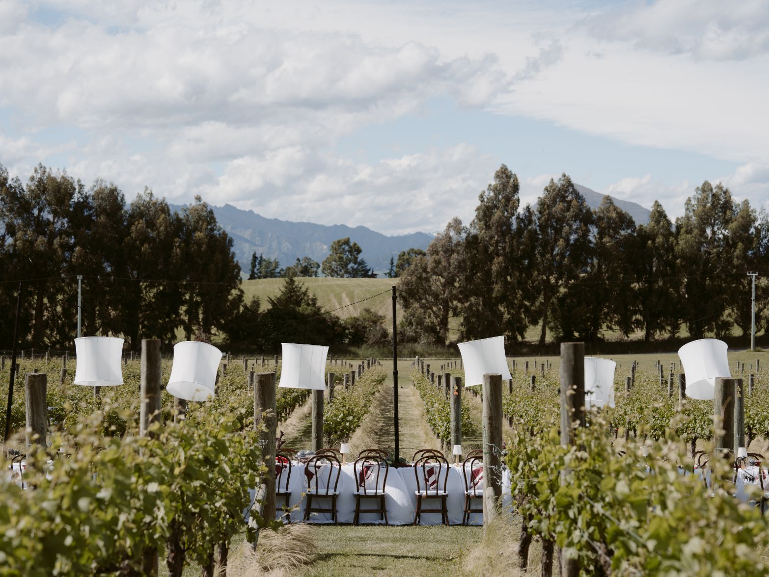 Akitu winery wedding - Styled shoot Alexandra Kate Creative