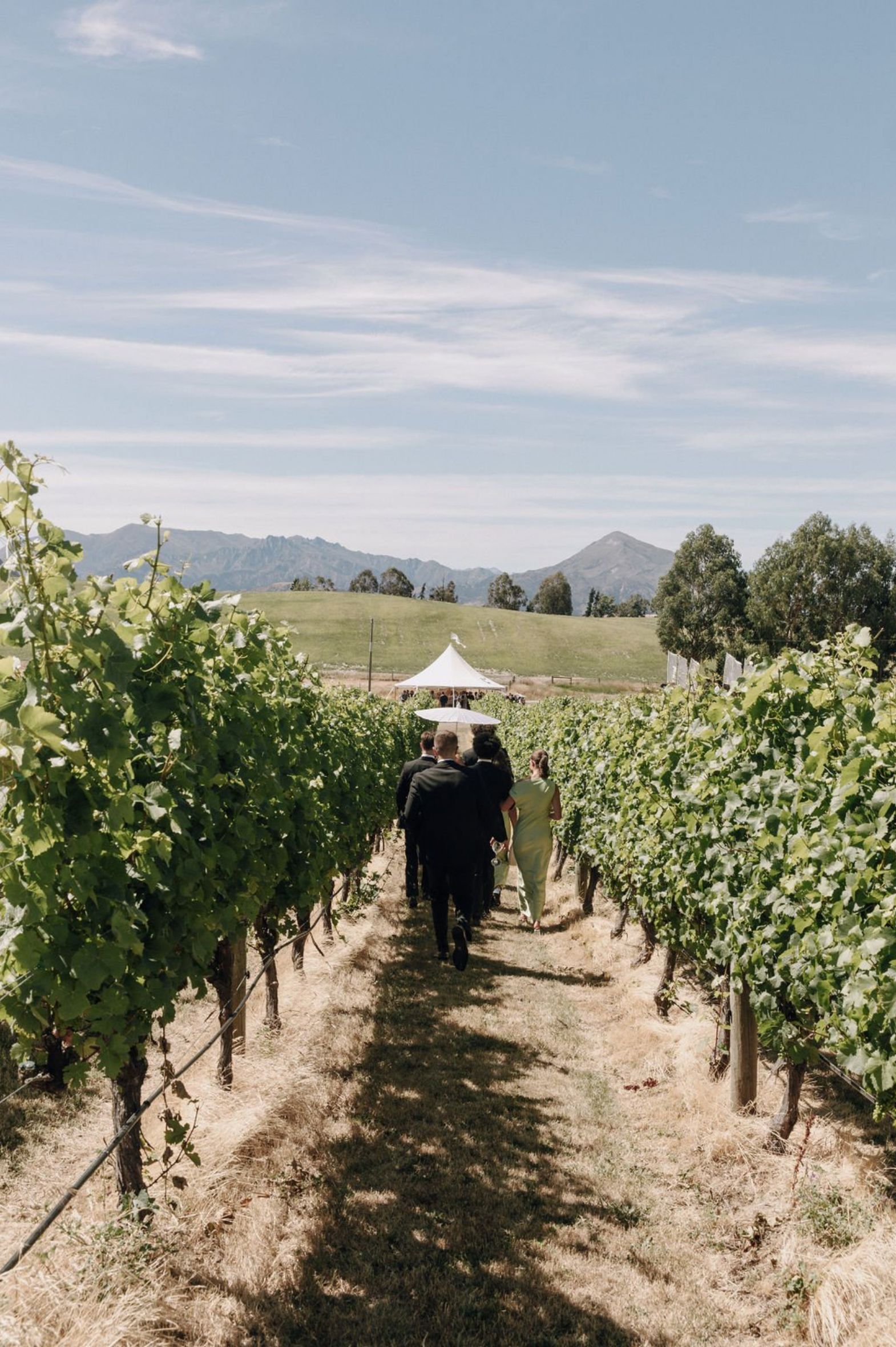 Akitu Winery Wedding Alexandra Kate Creative