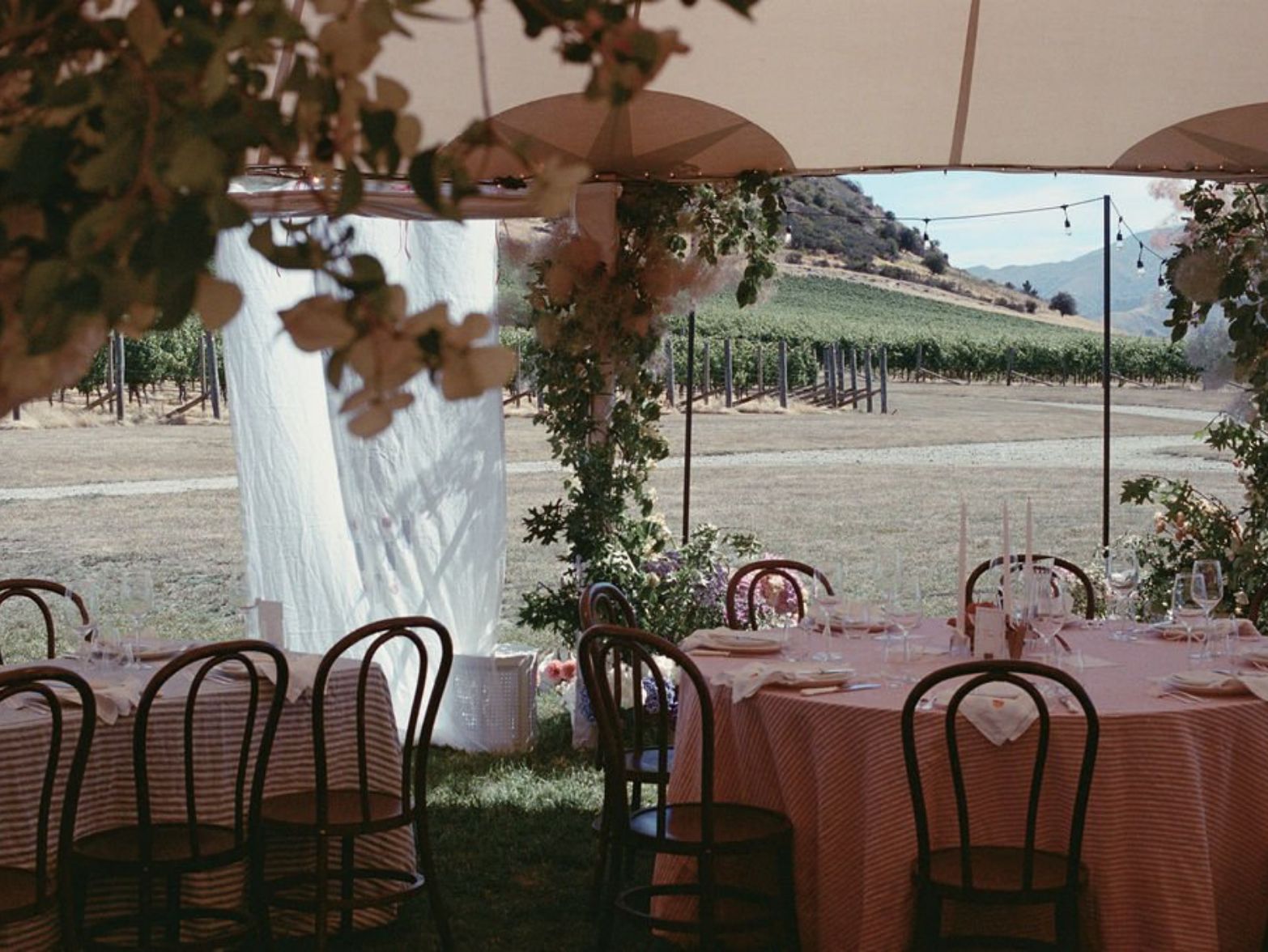 Akitu Winery Wedding Alexandra Kate Creative